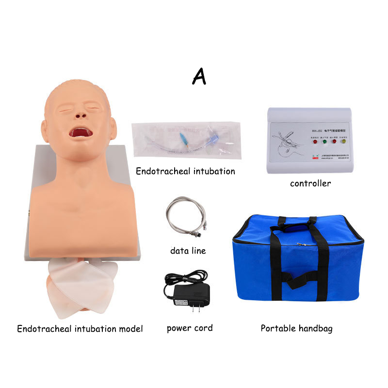 Modelo de ensino de manequim d - Medical Lab Management avaliação e preço