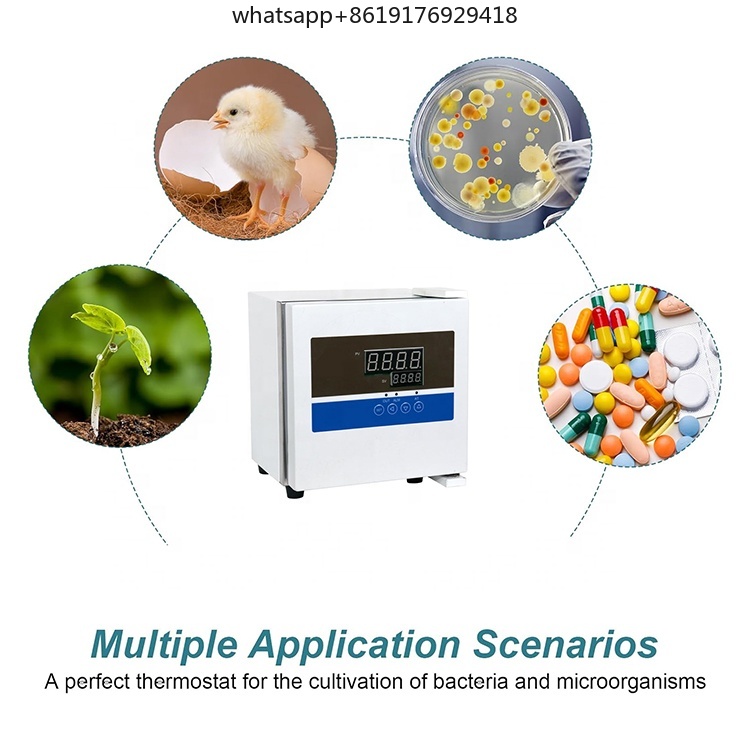 Laboratório 2L Mini Termostato - Lab Incubator avaliação e preço